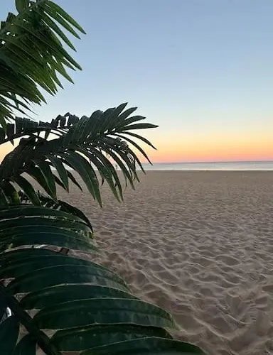 Aloha &spa En Bordure De Garrigue Lägenhet *