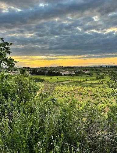 Aloha &spa En Bordure De Garrigue Lägenhet